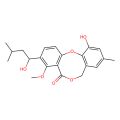 Penicillide