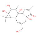 Phorbol