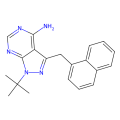 PP1 Analog II, 1NM-PP1
