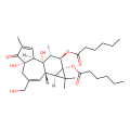 4α-PDH