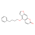 psora-4