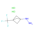 [3-(trifluoromethyl)bicyclo[1.1.1]pentan-1-yl]hydrazine dihydrochloride