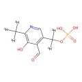 Pyridoxal phosphate-d5