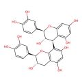 Procyanidin B3