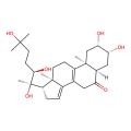 Podecdysone B