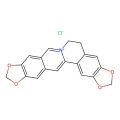 Pseudocoptisine chloride