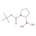 [(2S)-1-[(tert-butoxy)carbonyl]pyrrolidin-2-yl]boronic acid