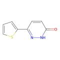 6-(2-噻吩)哒嗪-3(2H)-酮