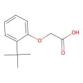 2-(2-(叔丁基)苯氧基)乙酸