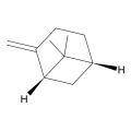 (+)-β-蒎烯