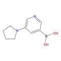 5-吡咯烷并吡啶-3-硼酸