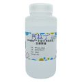 UltraBio™ 无蛋白WB高效二抗稀释液