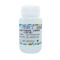 UltraBio™ WB高效一抗稀释液(无蛋白源)