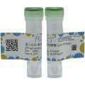 蛋白A/G-微球菌核酸酶 (pAG-MNase)