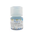 PAGE上层胶绿色染料