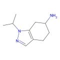 1-(propan-2-yl)-4,5,6,7-tetrahydro-1H-indazol-6-amine