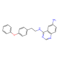 QNZ (EVP4593),NF-kB抑制剂