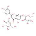 Quercetin 3,7-diglucoside