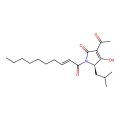 Reutericyclin