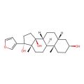 Rostafuroxin