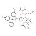 rU Phosphoramidite