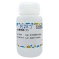 RIPA裂解液 (中)