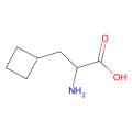 (R)-2-氨基-3-环丁基丙酸