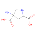 (2R,4R)-APDC,II类激动剂
