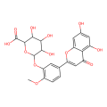 rac-橙皮素3'-O-β-D-葡糖醛酸