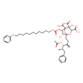 (6R,7R)-1-[(4S,5R)-4-(acetyloxy)-5-benzyl-3-methylidenehexyl]-4,7-dihydroxy-6-({[(11-phenoxyundecyl)oxy]carbonyl}oxy)-2,8-dioxabicyclo[3.2.1]octane-3,4,5-tricarboxylic acid