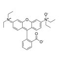 RhoNox-1 (亚铁离子探针)