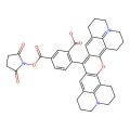 5-ROX 琥珀酰亚胺酯