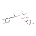 Robustaside B