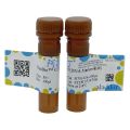 UltraBio™ 红色荧光DNA Marker染料