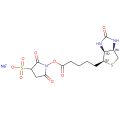 磺基-NHS-生物素