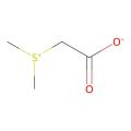 二甲基乙酸噻亭 盐酸盐（DMT)