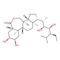 (22S,23S)-Homobrassinolide