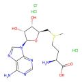 S-Adenosyl-L-methionine chloride dihydrochloride