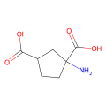 (1S,3R)-ACPD,第I组和第II组mGlu激动剂