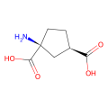 (1S,3R)-ACPD