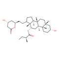 (1S,2S,5R,7R,10R,11S,15R,16S)-5-hydroxy-14-{2-[(2R,4R)-4-hydroxy-6-oxooxan-2-yl]ethyl}-2,15-dimethyltetracyclo[8.7.0.0^{2,7}.0^{11,15}]heptadecan-16-yl (2S)-2-methylbutanoate