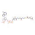 (S)-3-hydroxy-3-methylglutaryl-CoA