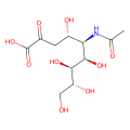 sialic acid