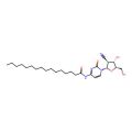 Sapacitabine