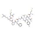 Small Cardioactive Peptide B (SCPB)
