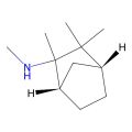 (1S,4R)-N,2,3,3-tetramethylbicyclo[2.2.1]heptan-2-amine