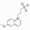 SPQ (氯离子荧光探针)