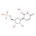 Sodium((2R，3S，4R，5R)-5-(2，4-dioxo-3，4-dihydropyrimidin-1(2H)-yl)-3，4-dihydroxytetrahydrofuran-2-yl)methylhydrogenphosphate