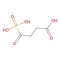 Succinyl phosphonate 
