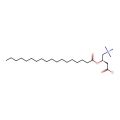 Stearoylcarnitine